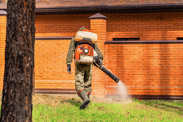 Trusted Ant Control service in Whitley City, KY - Nex Pest Control